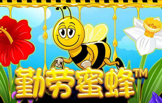 hlwbet官网登录入口